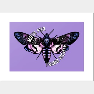 Moth For Trans Rights Posters and Art